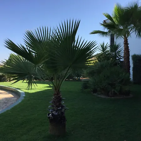 شقة فندقية Atalayas Extremadura